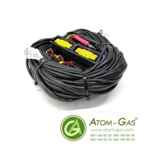 Проводка к блоку управления AEB MP2568, 8 цил