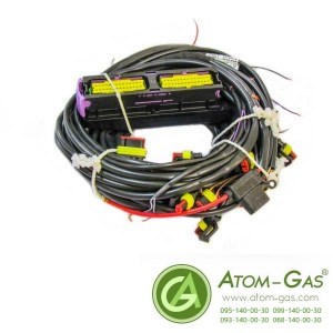 Проводка к блоку управления STAG-Q-BOX Plus, 8 цил, разъемы: тип Valtek, PS-02/2