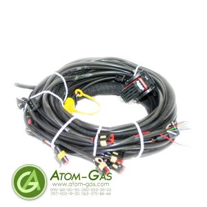 w2l_21304_2plus